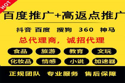 SEM托管代运营案例：打造高效营销体系